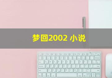 梦回2002 小说